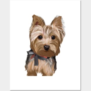 Cute Yorkshire Terrier Drawing Posters and Art
